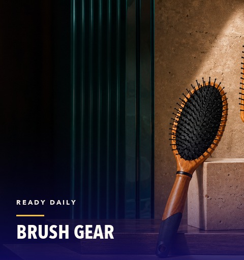 Multica hair brushes arranged on a graphic teal set